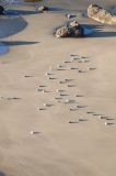 201108141934-AJS_7467.jpg